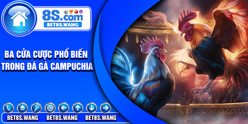 Ba cửa cược phổ biến trong đá gà Campuchia