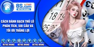 Cach Danh Bach Thu Lo Phan Tich Soi Cau Va Toi Uu Thang Loi