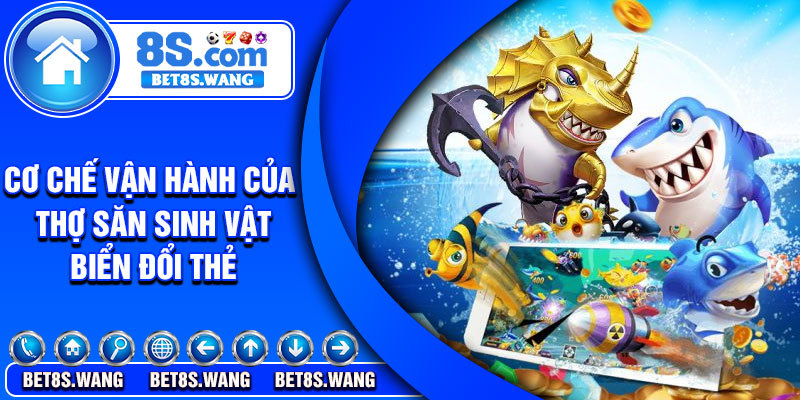 Cơ chế vận hành của thợ săn sinh vật biển đổi thẻ