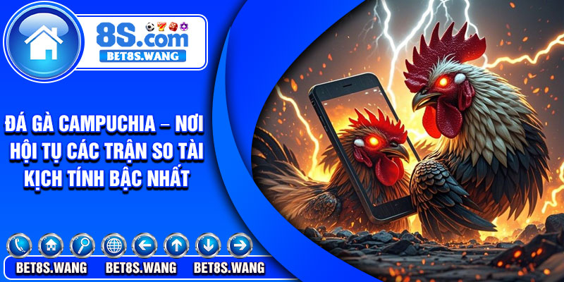 Da Ga Campuchia – Noi Hoi Tu Cac Tran So Tai Kich Tinh Bac Nhat