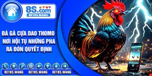 Da Ga Cua Dao Thomo – Noi Hoi Tu Nhung Pha Ra Don Quyet Dinh