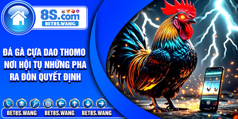 Da Ga Cua Dao Thomo – Noi Hoi Tu Nhung Pha Ra Don Quyet Dinh
