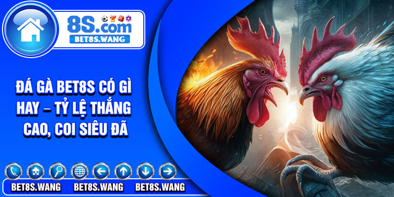 Đá gà Bet8s có gì hay – Tỷ lệ thắng cao, coi siêu đã