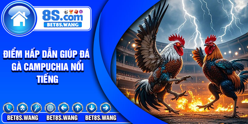 Điểm hấp dẫn giúp đá gà Campuchia nổi tiếng