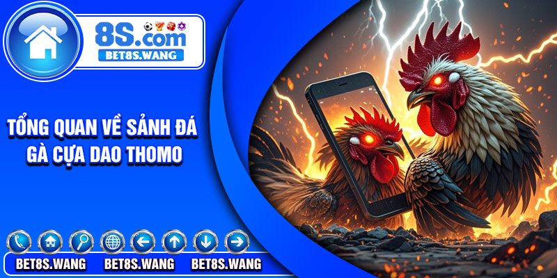 Tổng quan về sảnh đá gà cựa dao thomo