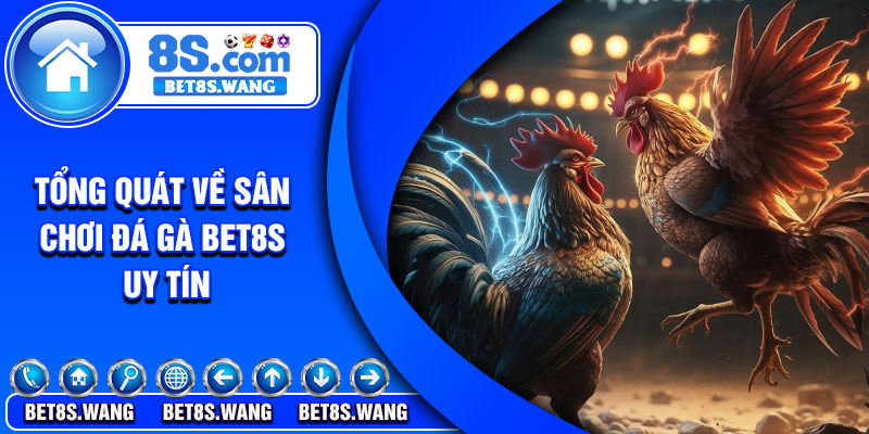 Tổng quát về sân chơi đá gà Bet8s uy tín